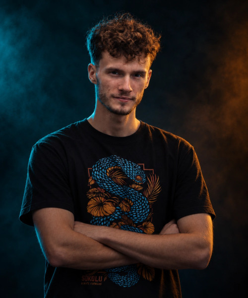 Sokolík